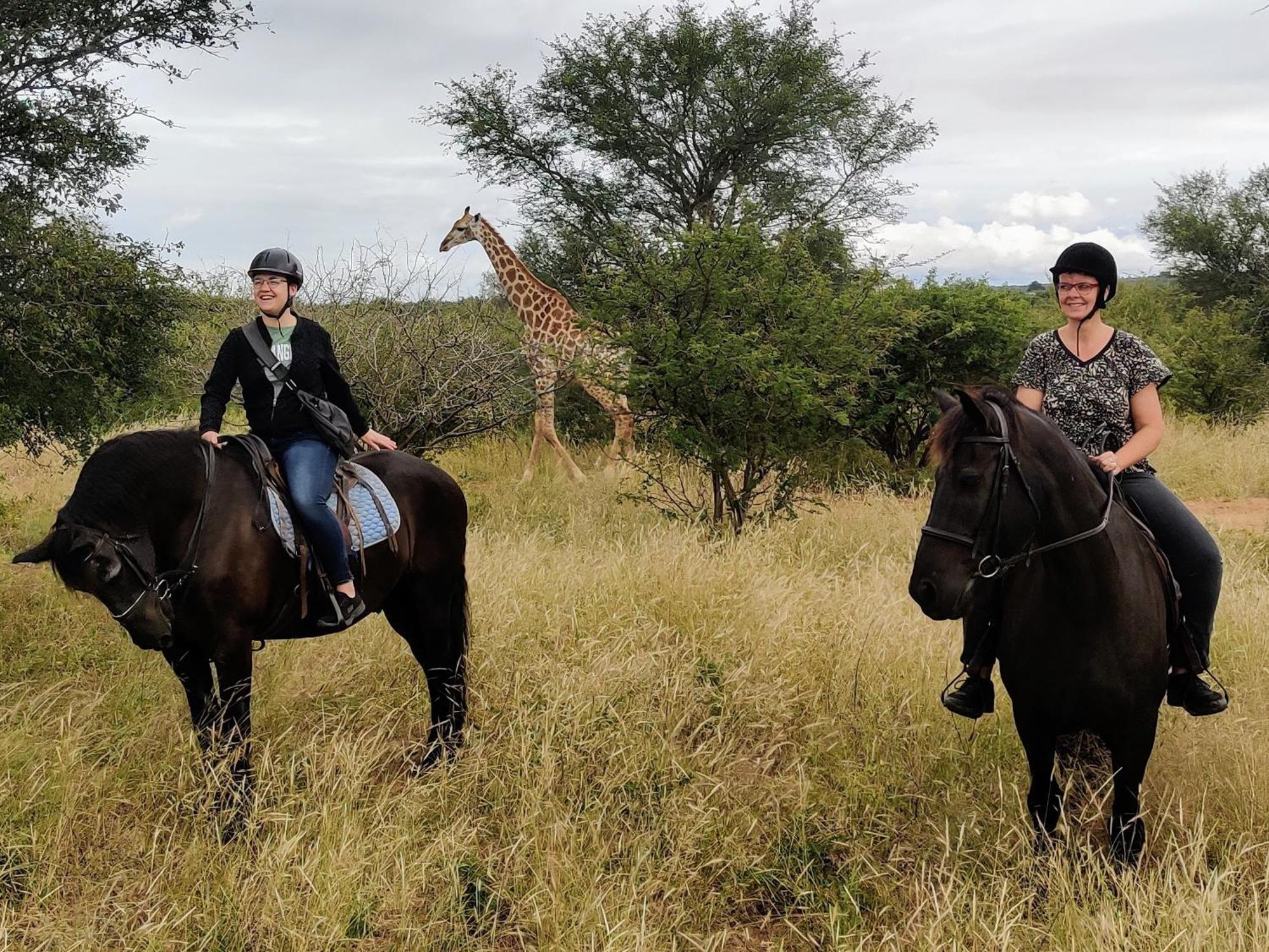 The Baobab Bush Lodge And Villa Hoedspruit Extérieur photo