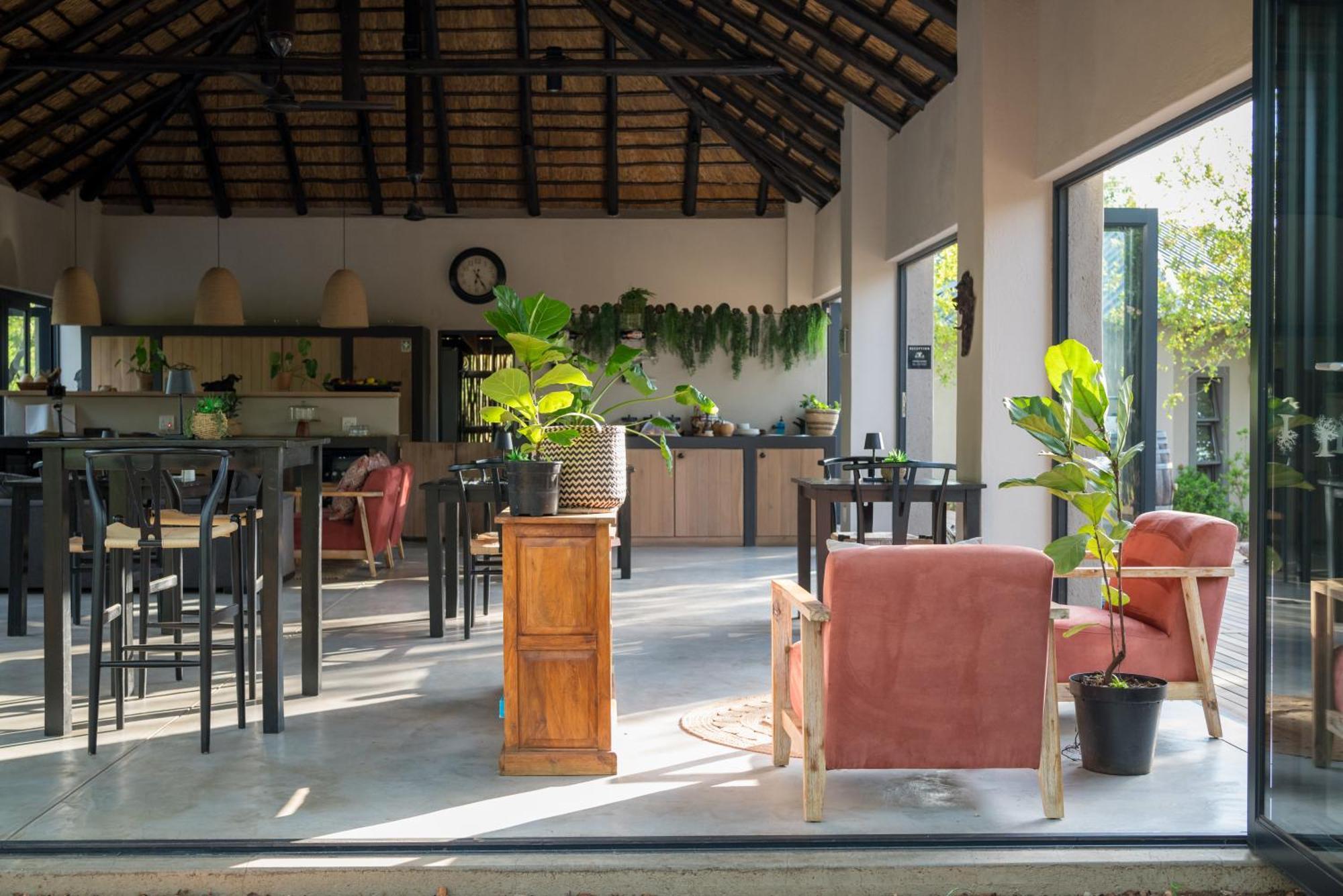 The Baobab Bush Lodge And Villa Hoedspruit Extérieur photo